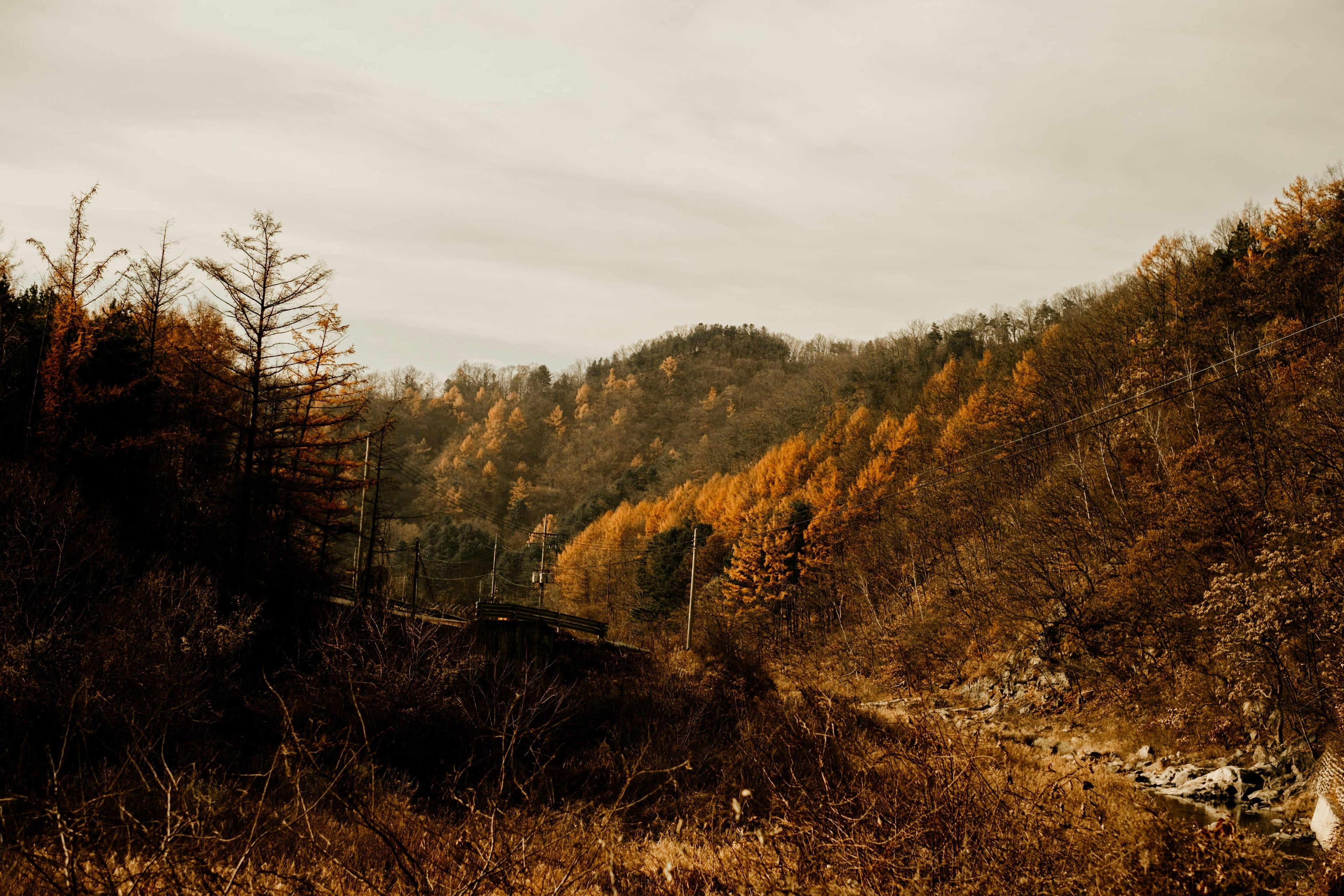 Breathtaking autumn scenery in the mountains near Seoul showcasing vibrant fall colors
