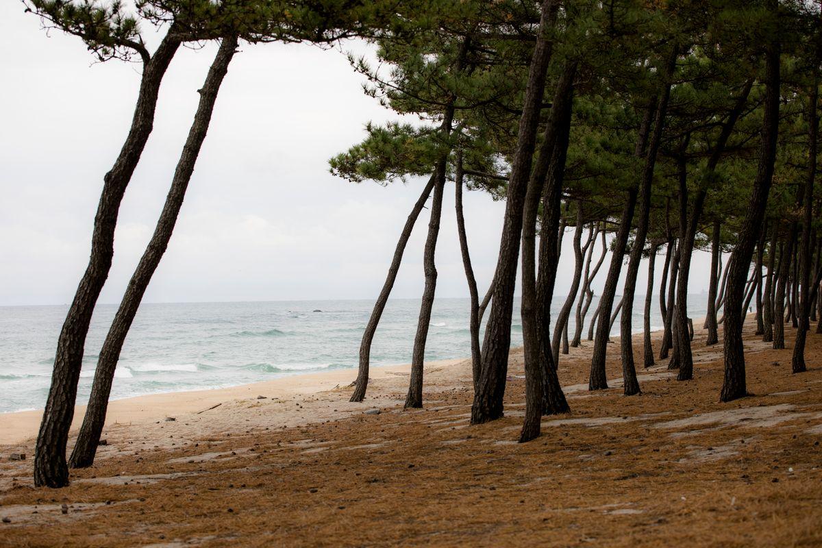 Goseong Unification Observatory Drive: How to Reach Korea's Northernmost East Coast Point