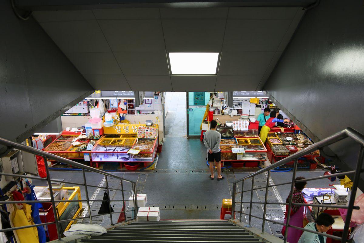 Daejin Port fishing harbor in Goseong with colorful boats and fresh seafood market stalls along the dock