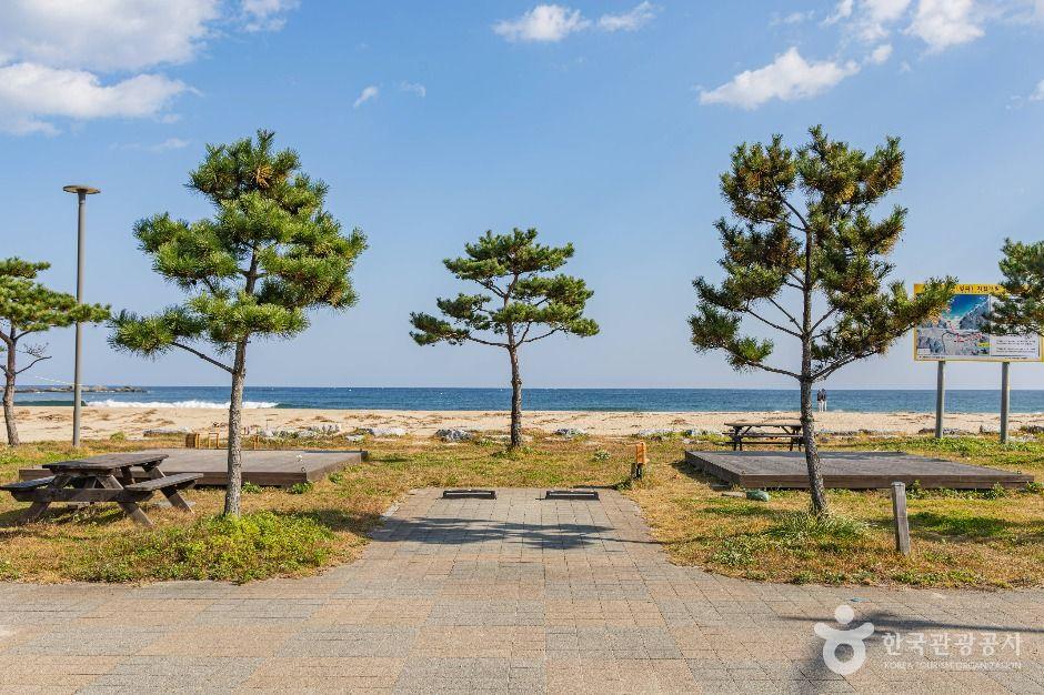 Korea's east coast highway curving along the sea with mountains in the background near Goseong Gangwon Province
