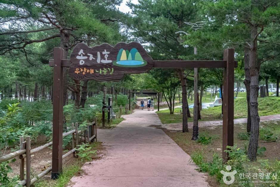 Hwajinpo Lake's emerald green water surrounded by pine forests and sandy beach near Goseong, Korea