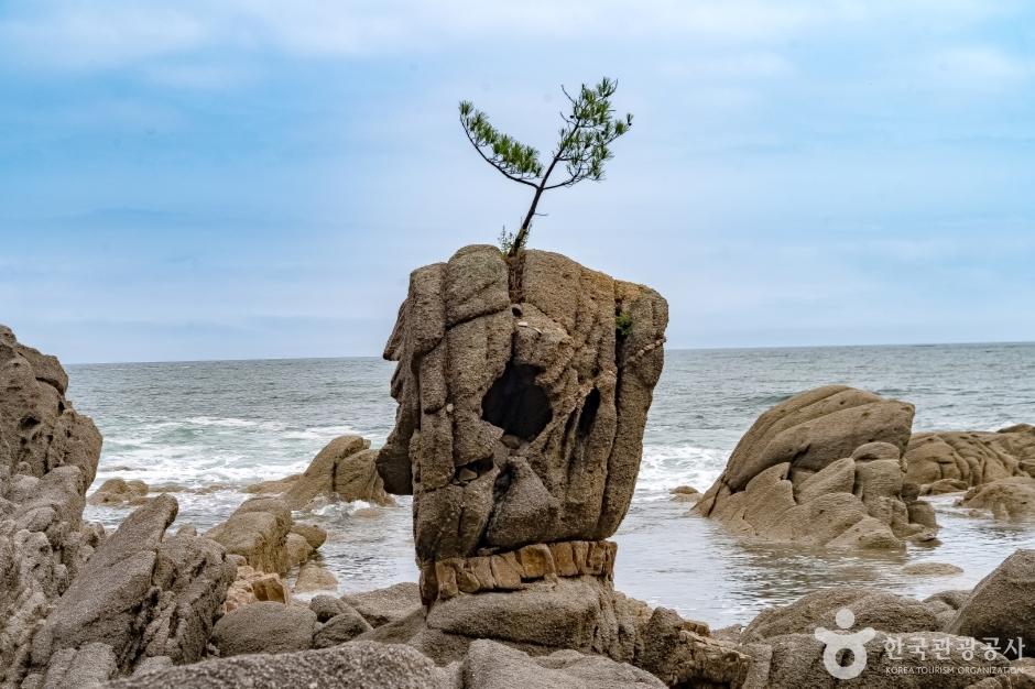 Goseong Unification Observatory viewing platform overlooking the East Sea and North Korean coastline and mountains