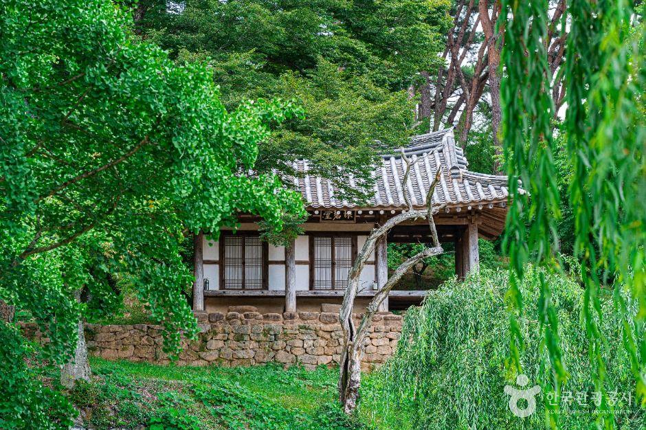 Forest trail path through Mudeungsan mountain near Gwangju South Korea with lush green trees