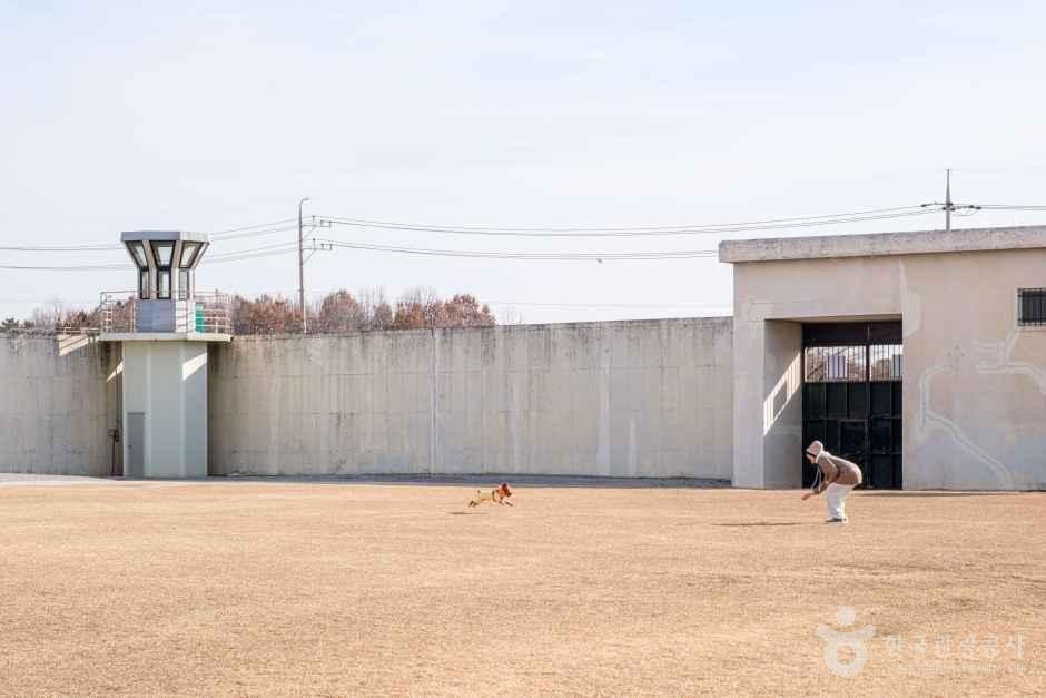 Iksan Prison Film Set exterior cellblock corridor K-drama filming location Korea Vincenzo Prison Playbook