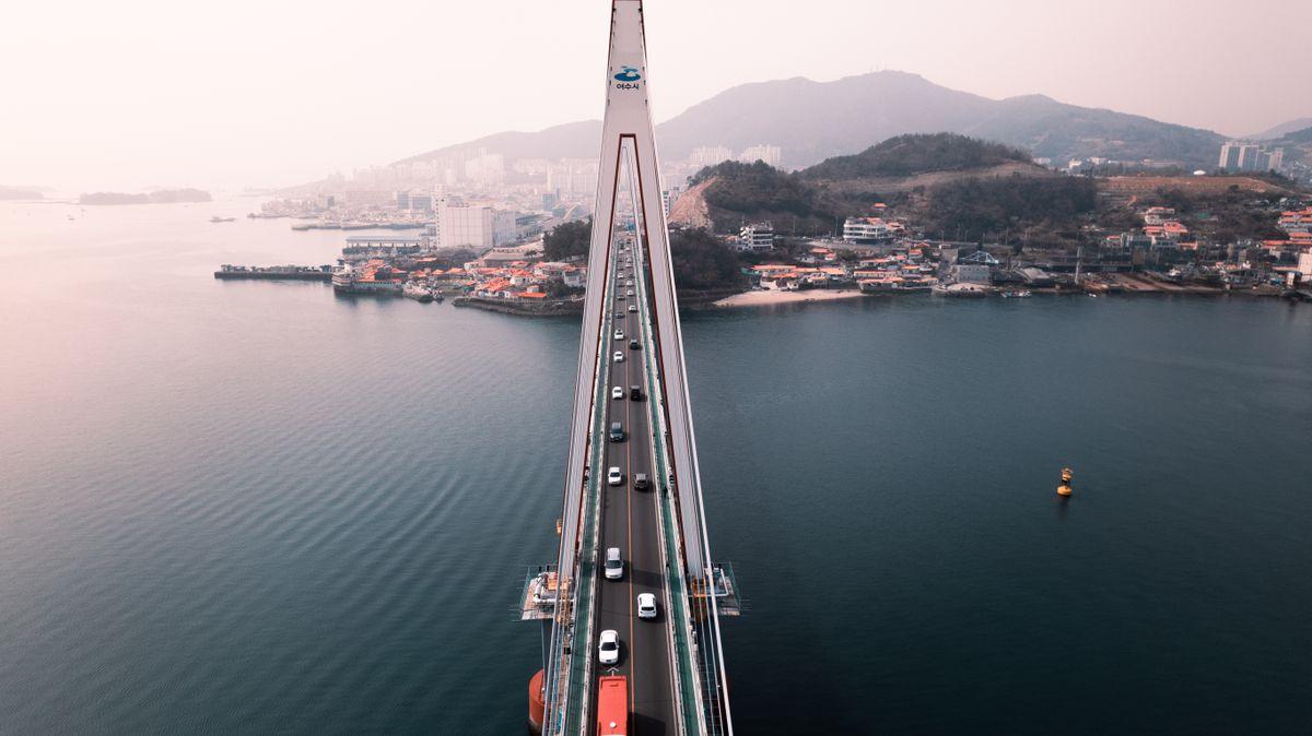 Jindo Island Day Trip: Drive the Bridge, Meet Korea's Famous Dog, and Walk the Miracle Sea Road