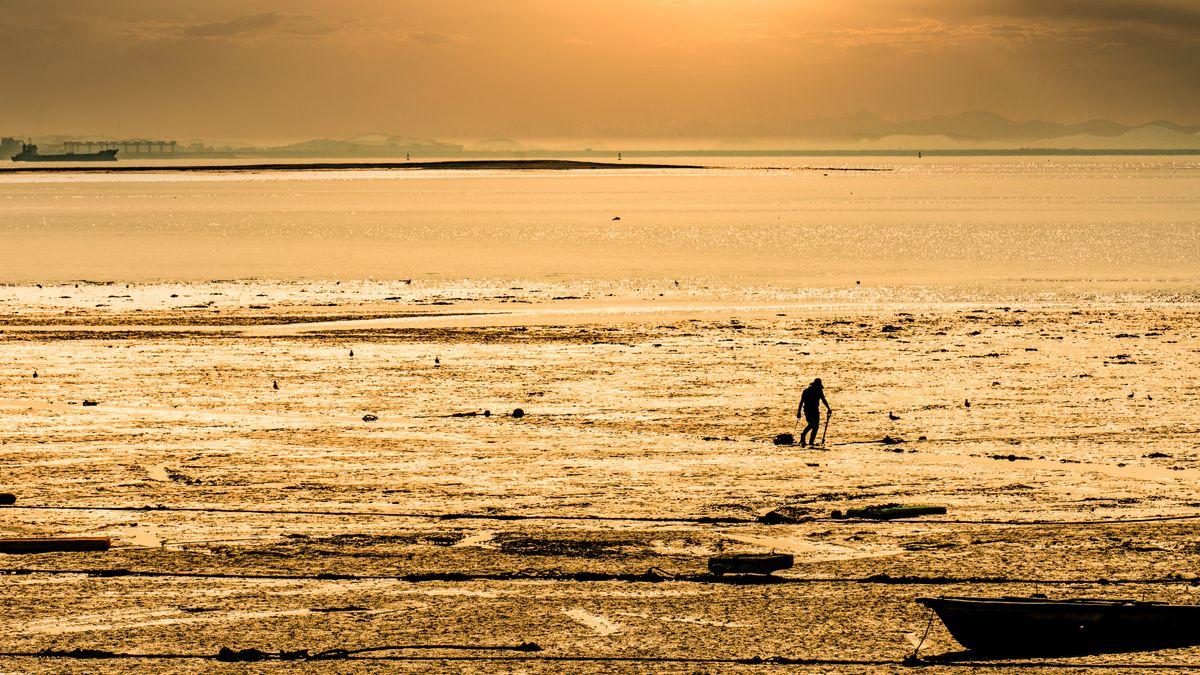 A lone figure walking across expansive mudflats at twilight in South Korea, illustrating the tidal pathway phenomenon