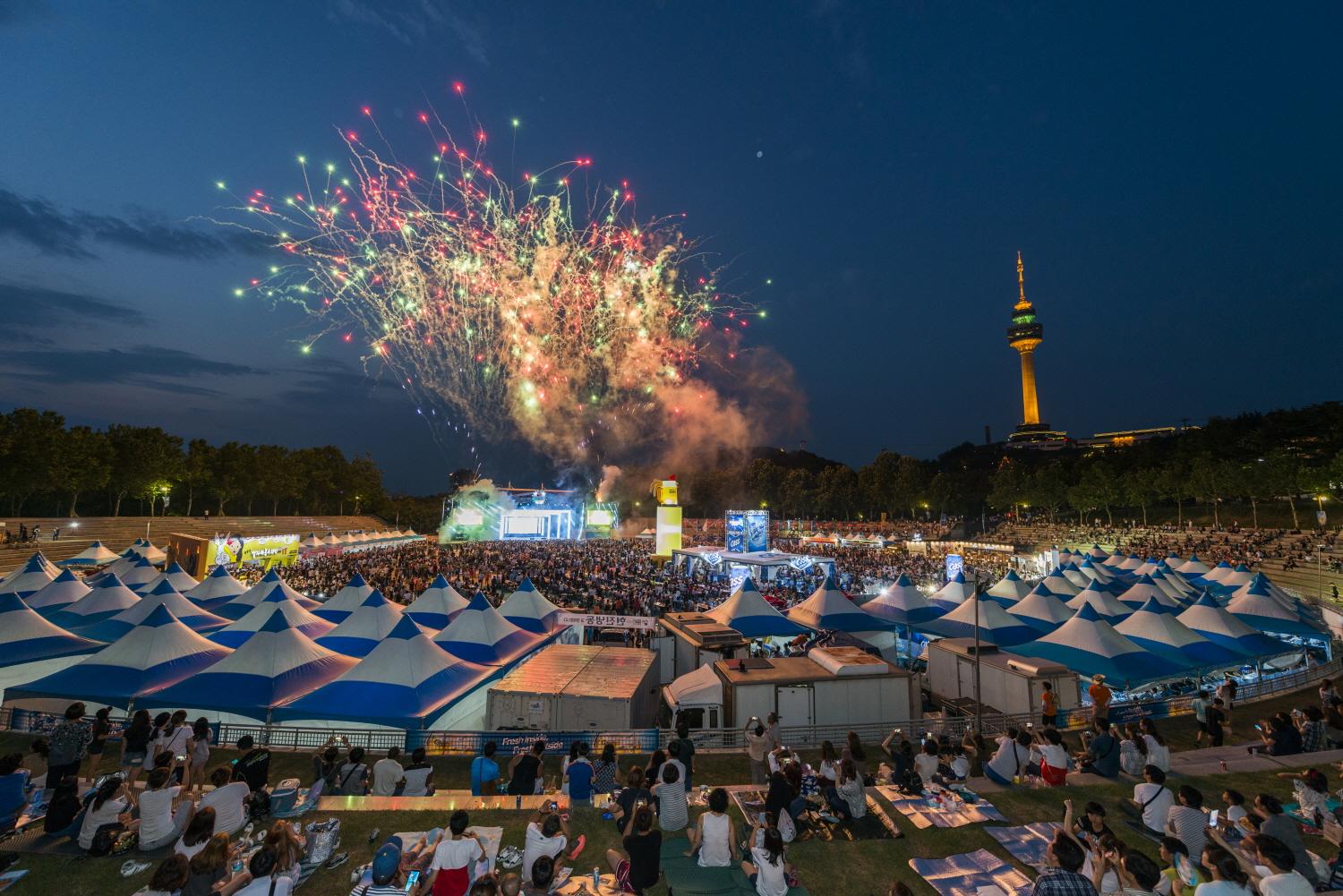 Daegu Chimac Festival fried chicken and beer crowd