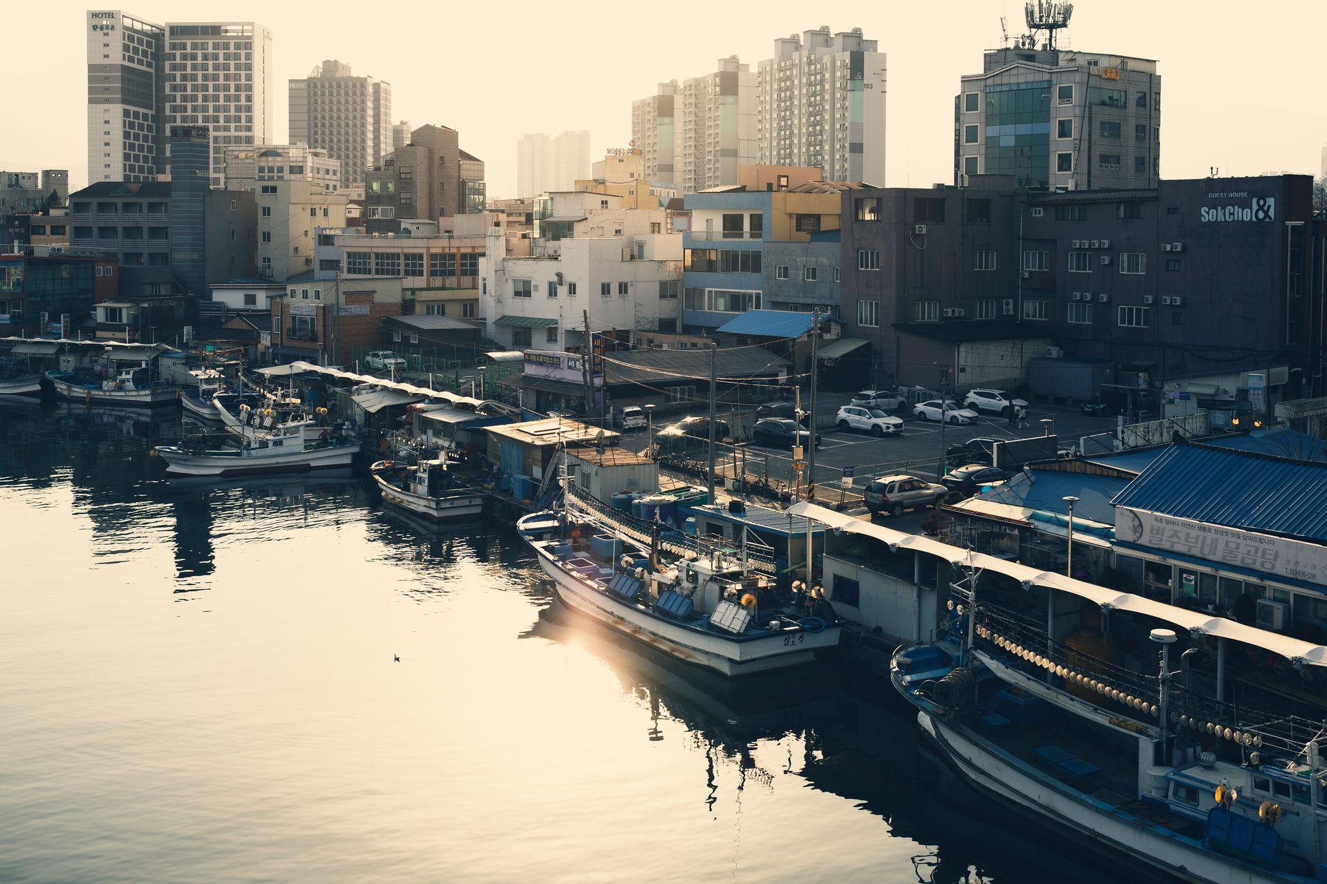 Urban Korean harbor at sunset with boats reflected on calm water