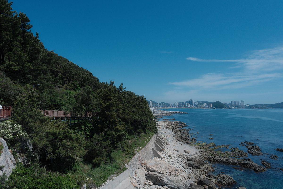 Busan Beyond the Tourist Trail: A Local's Drive Through the City