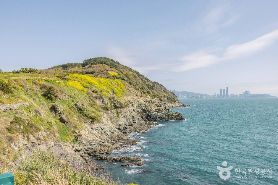 Igidae coastal cliffs in Busan South Korea with dramatic rocky shoreline and blue sea