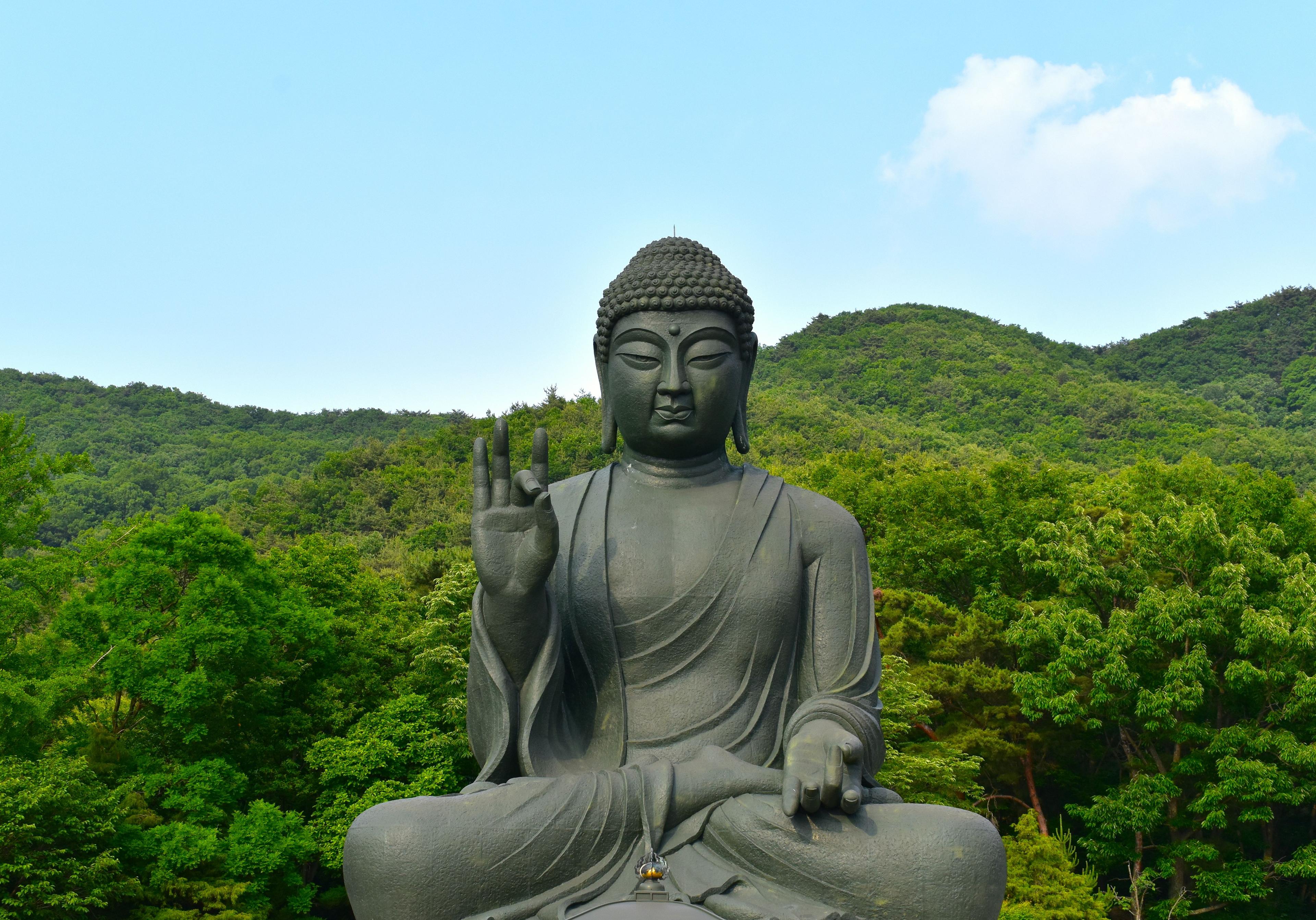 Giant stone Buddha statue at a Korean mountain temple surrounded by lush green forest