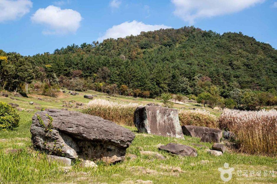 UNESCO World Heritage dolmens at Gochang prehistoric megalithic stone monuments Korea