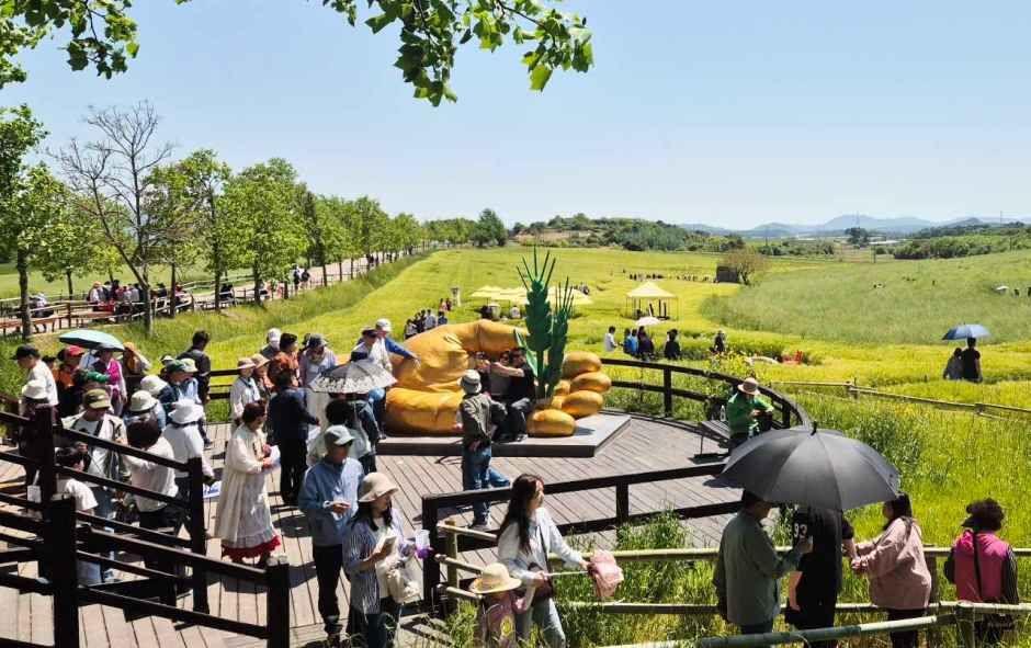 Hakwon Farm in Gochang rolling green fields and rural landscape Jeollabuk-do