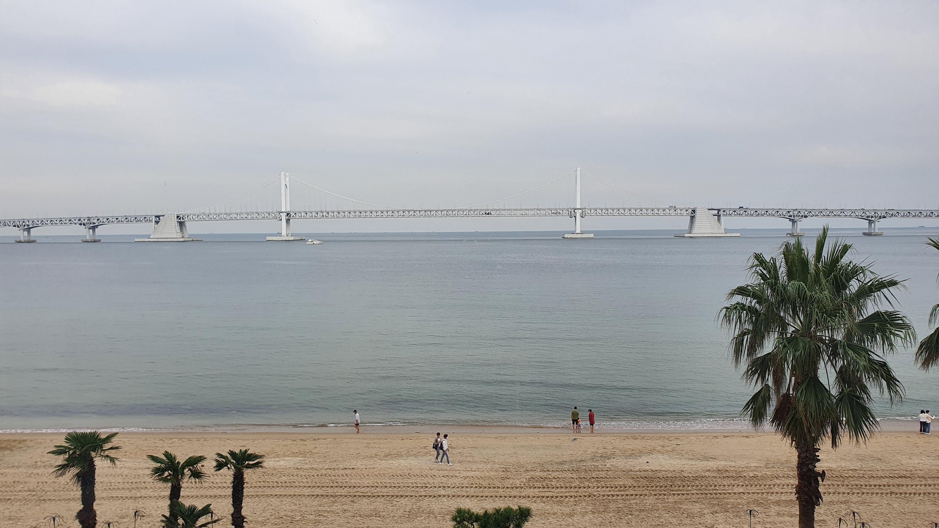 Gwangalli Beach Busan: Complete Guide to Korea's Most Scenic Waterfront