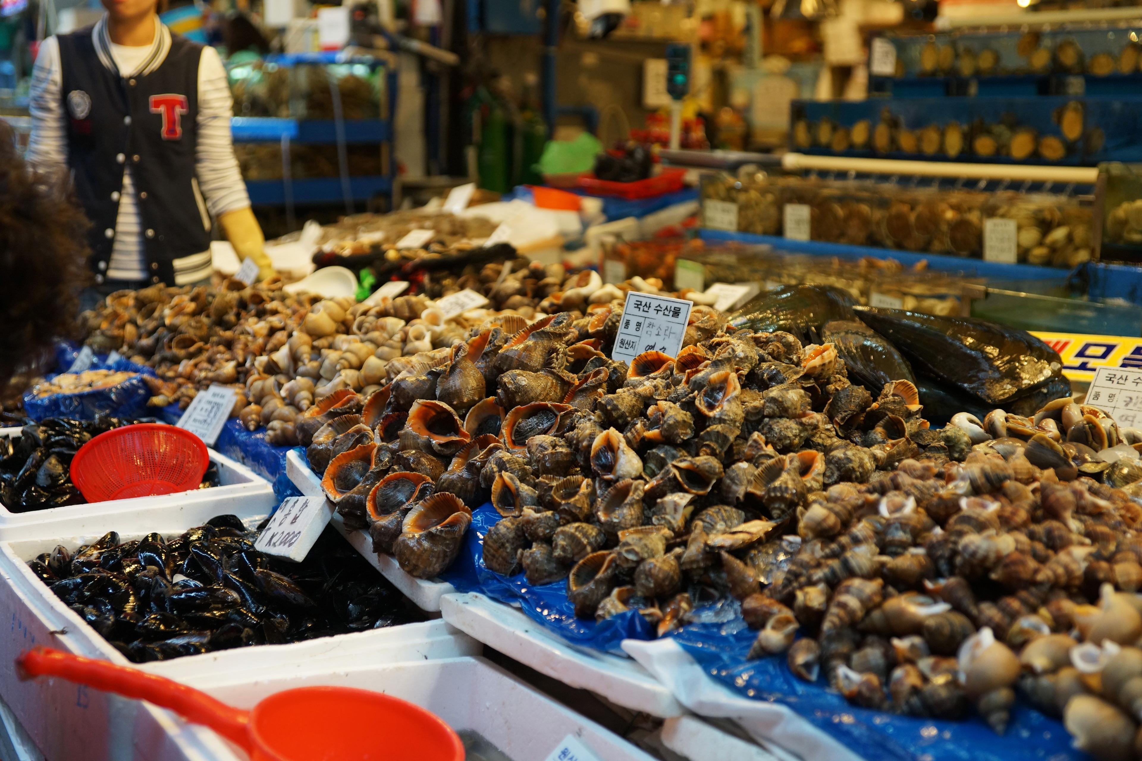 Fresh raw fish and seafood spread at a restaurant near Gwangalli Beach in Busan