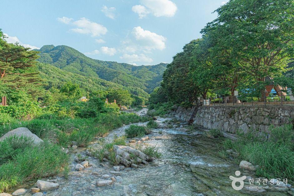 Basalt cliffs rising above a calm river with lush green vegetation