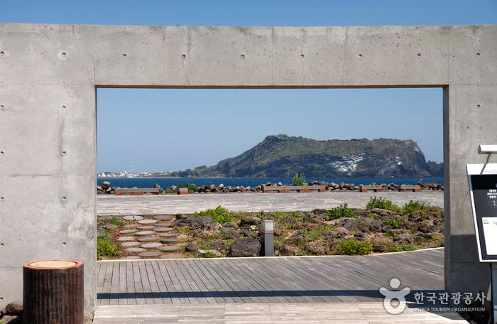 Seongsan Ilchulbong by Rental Car: How to Drive to Jeju's Iconic Sunrise Peak