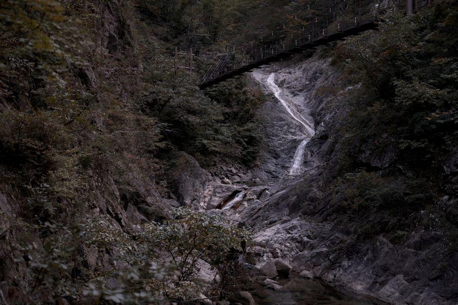 Mountain stream with wooden footbridge inside a narrow gorge in Korea during summer, reminiscent of Juwangsan canyon trail