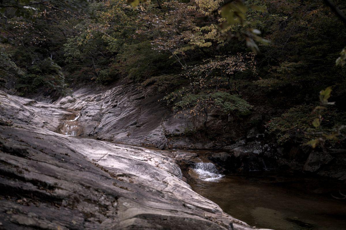 Clear forest stream with smooth rounded boulders and dappled sunlight through dense green canopy in South Korea