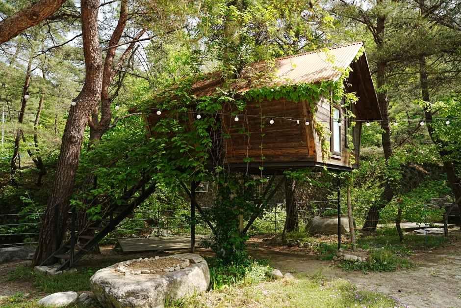 Treehouse Valley campsite beside a mountain stream in Hongcheon, Gangwon Province, South Korea