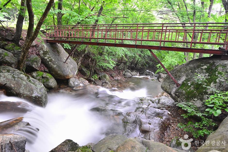 Munsu Valley in Gurye, South Jeolla Province — clear mountain stream surrounded by green beech forest near Jirisan