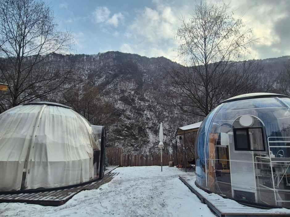 Glamping tents beside a mountain stream in Pyeongchang County, Gangwon Province, South Korea