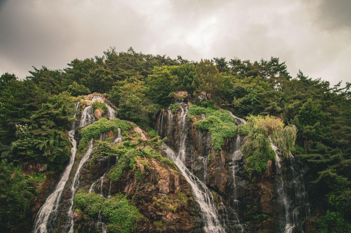 Waterfall tumbling down green mossy cliffs in a lush Korean forest, South Korea