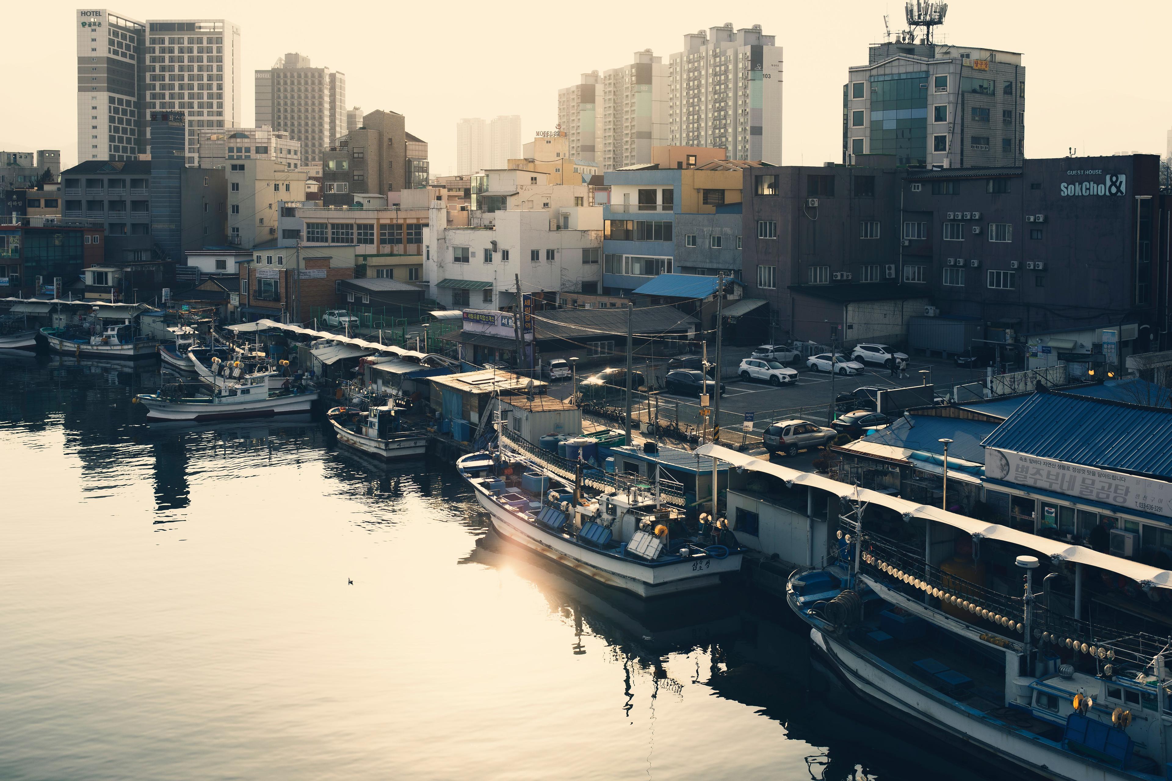 Mokpo harbor with fishing boats and coastal skyline