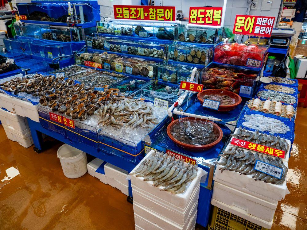 Korean seafood platter with fresh raw fish, grilled clams and seafood hotpot at a restaurant on Muuido Island