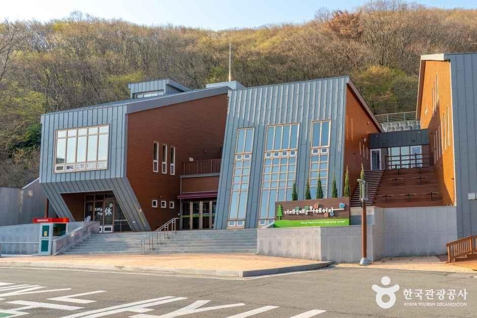 Geoje Natural Recreation Forest with pine trees and a small mountain path in South Korea