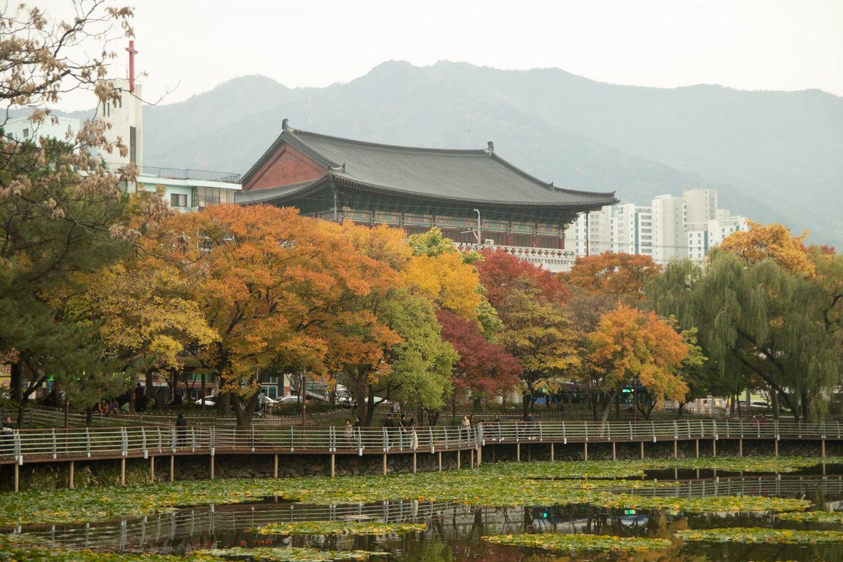 Autumn foliage turning red and orange on the slopes of Palgong Mountain near Daegu, Korea