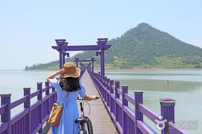 Sinan Purple Island Drive: Korea's Most Colorful Coastal Road Trip