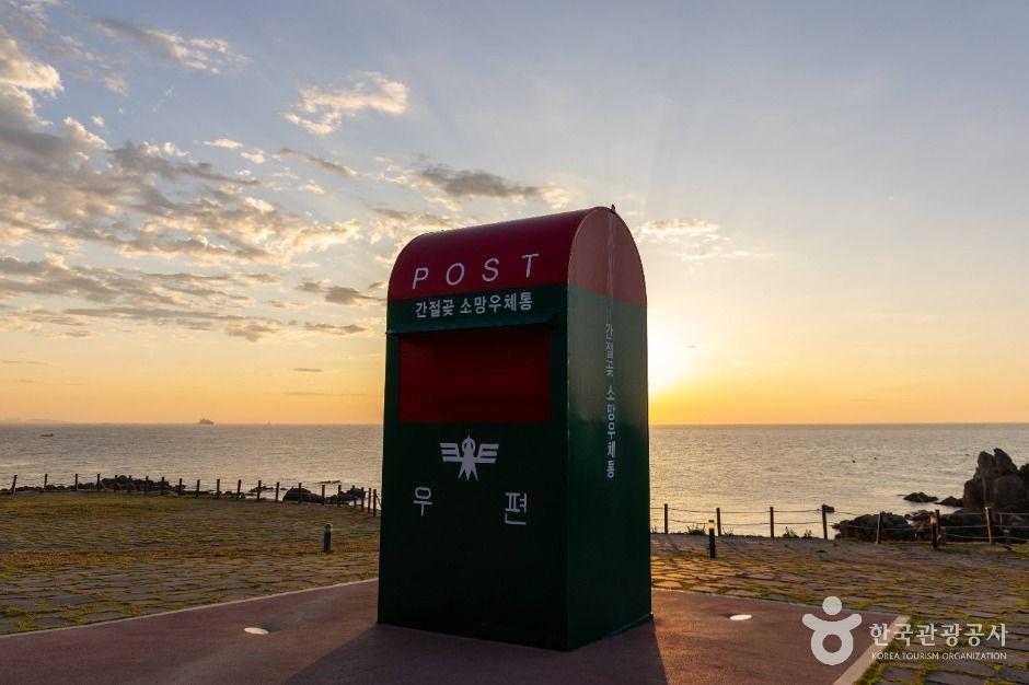 Ulsan Day Trip Drive: Ganjeolgot Cape, Whale Museum & Taehwagang Garden
