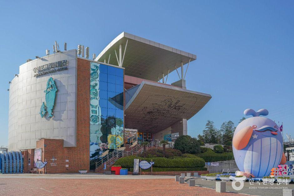 Exterior of the Jangsaengpo Whale Museum in Ulsan, with whale sculptures outside the modern building